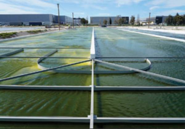 Green Aqua's BIOFAT.PT industrial project